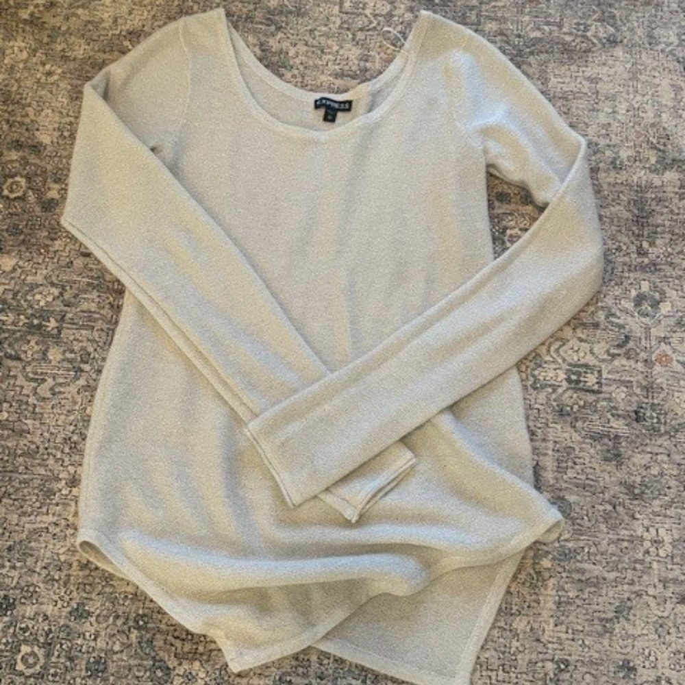 Express V-Cut Sparkle Sweater